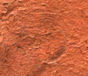 Copper Bronzing Mini