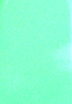 Soft Green Paint Stick™